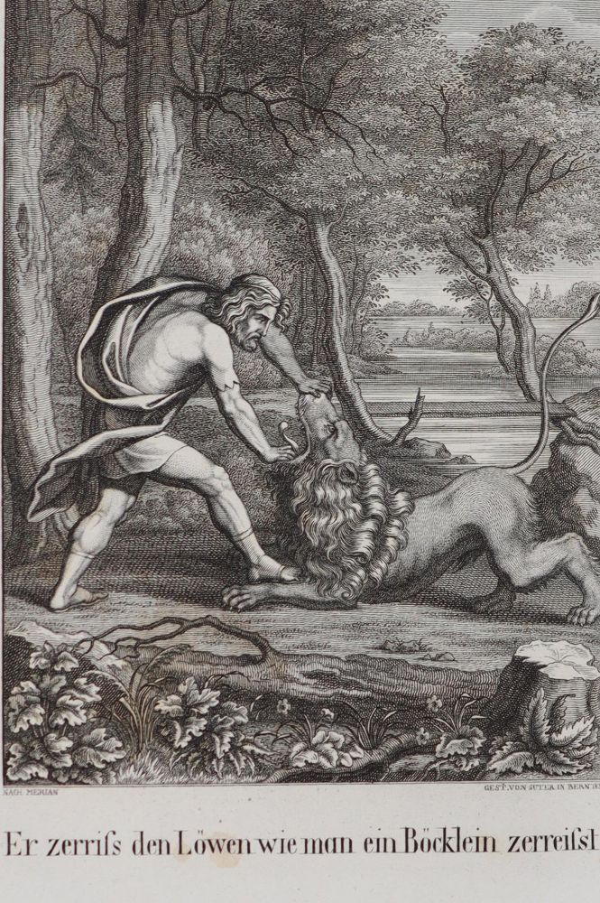 Große Abbildung Nr.3: 143-59 Müller,J.C. (Hrsg.).: (Bibeln)
