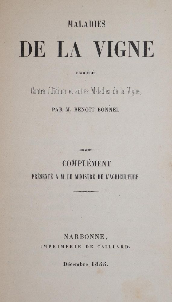 Große Abbildung Nr.1: 143-606 Bonnel,B.: (Küche und Haushalt, Getränke, Wein)
