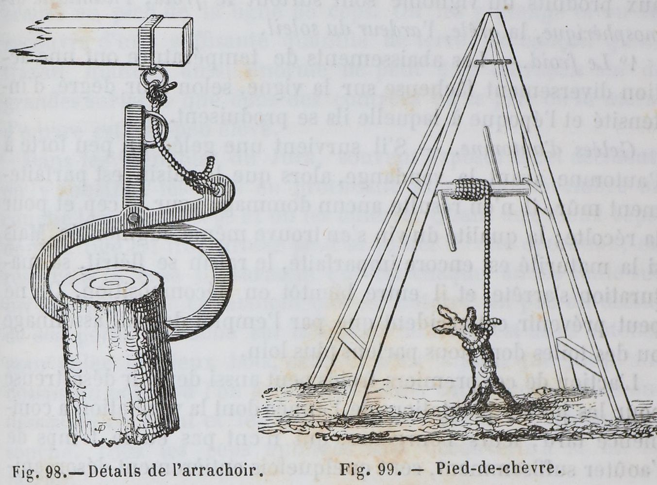 Große Abbildung Nr.2: 143-609 Breuil,A.de.: (Küche und Haushalt, Getränke, Wein)