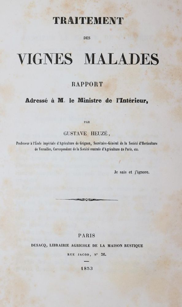 Große Abbildung Nr.1: 143-636 Heuze,G.: (Küche und Haushalt, Getränke, Wein)