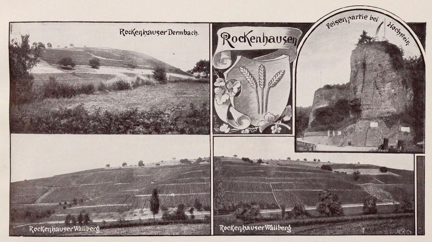 Große Abbildung Nr.2: 143-649 Pfälzer Wein.: (Küche und Haushalt, Getränke, Wein)