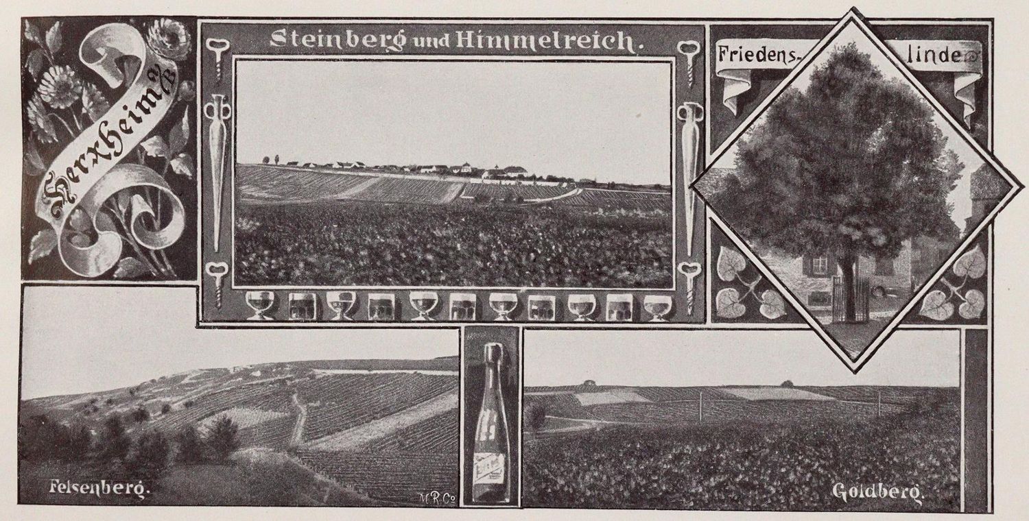 Große Abbildung Nr.4: 143-649 Pfälzer Wein.: (Küche und Haushalt, Getränke, Wein)
