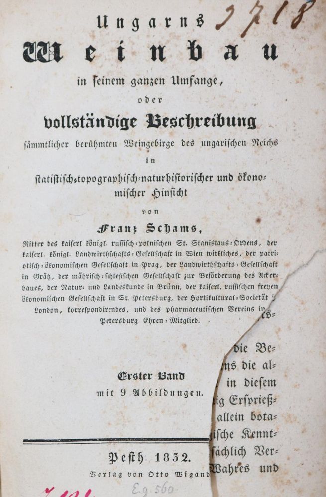 Große Abbildung Nr.1: 143-656 Schams,F.: (Küche und Haushalt, Getränke, Wein)