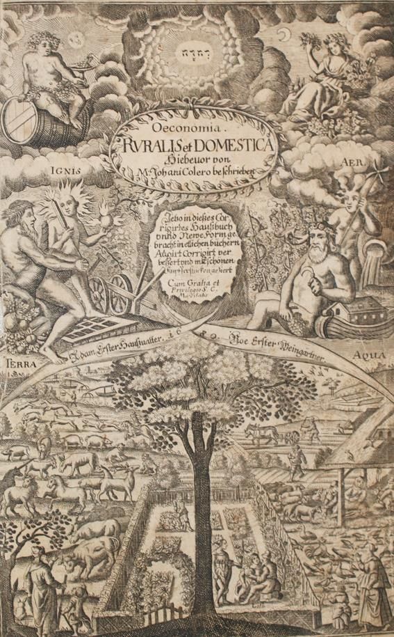 Große Abbildung Nr.1: 143-668 Colerus,J.: (Küche und Haushalt, Haushalt)