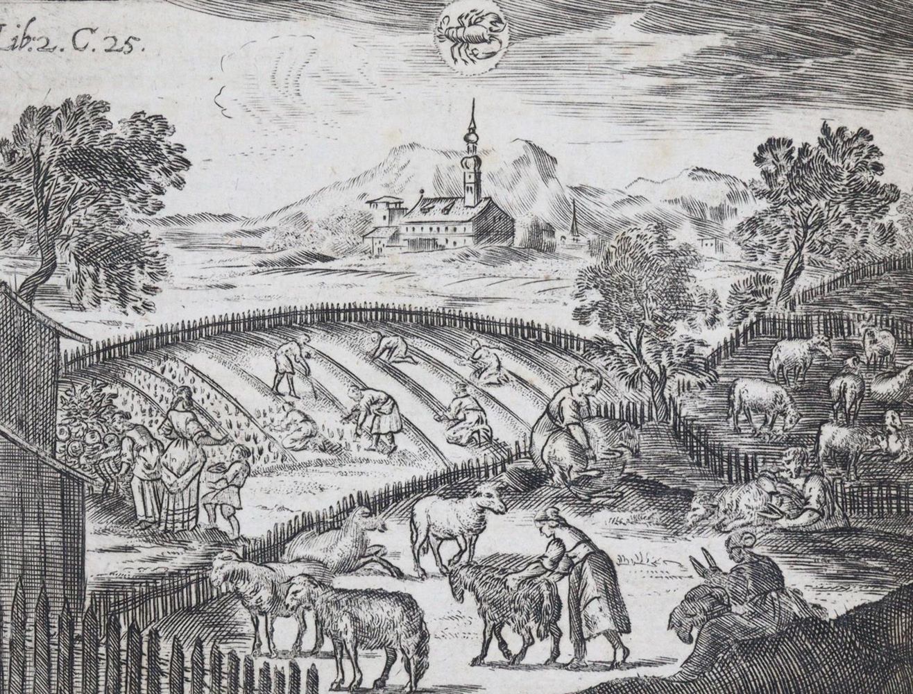 Große Abbildung Nr.3: 143-675 Hohberg,W.H.v.: (Küche und Haushalt, Haushalt)