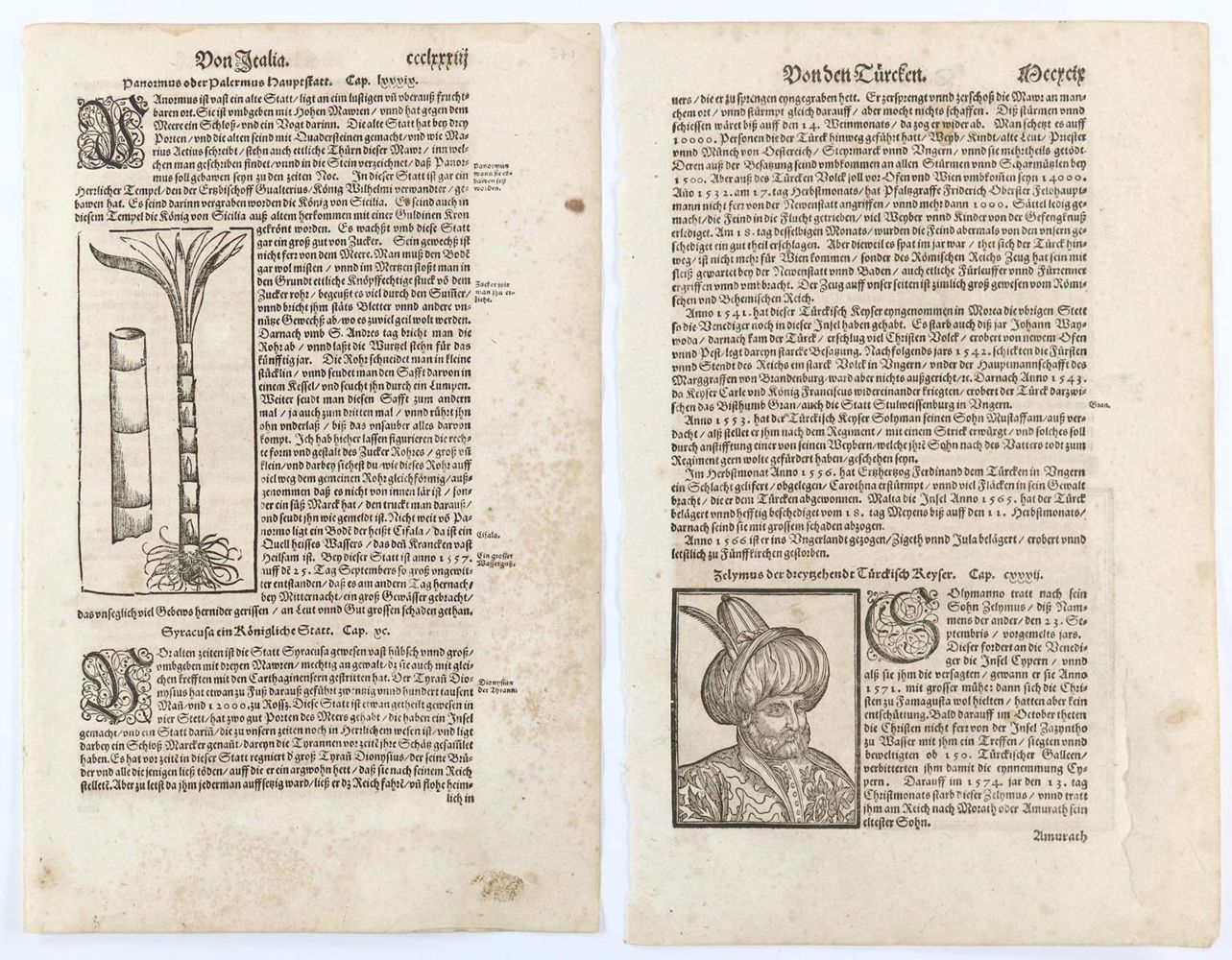 Große Abbildung Nr.2: 143-73 Münster, Sebastian: (Buchholzschnitte)
