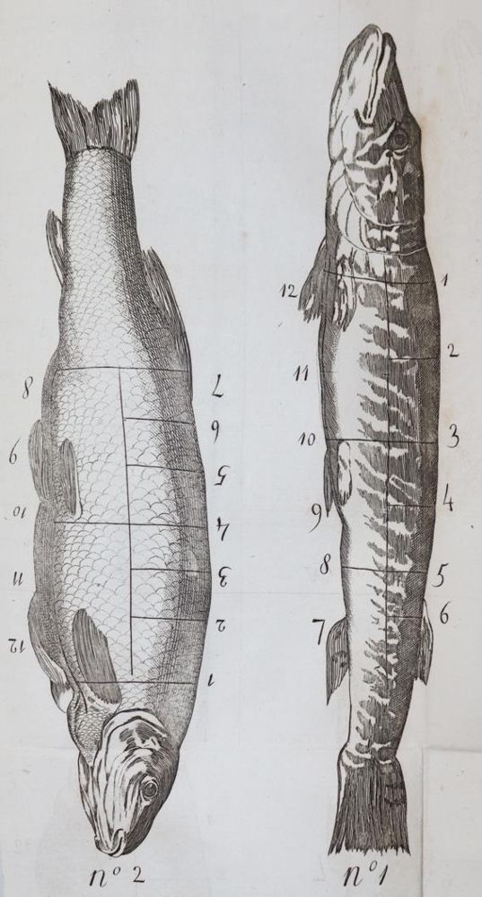 Große Abbildung Nr.1: 143-776 (Grimod de la Reyniere,A.B.L.).: (Küche und Haushalt, Kochbücher)