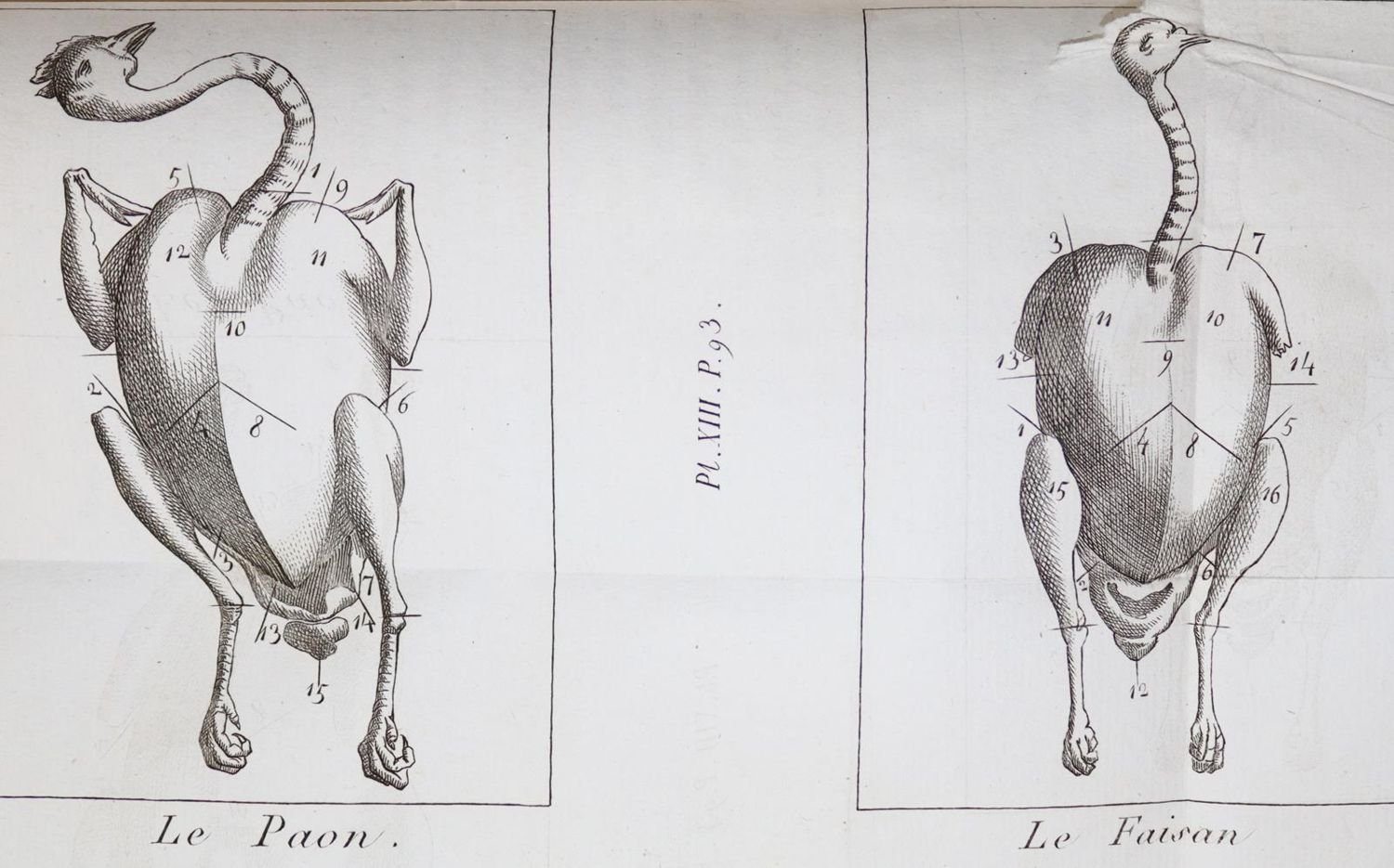 Große Abbildung Nr.3: 143-776 (Grimod de la Reyniere,A.B.L.).: (Küche und Haushalt, Kochbücher)