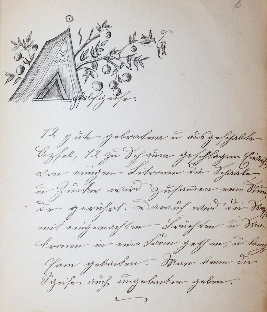 Große Abbildung Nr.1: 143-784 Kochbuch: (Küche und Haushalt, Kochbücher, Handschriften)