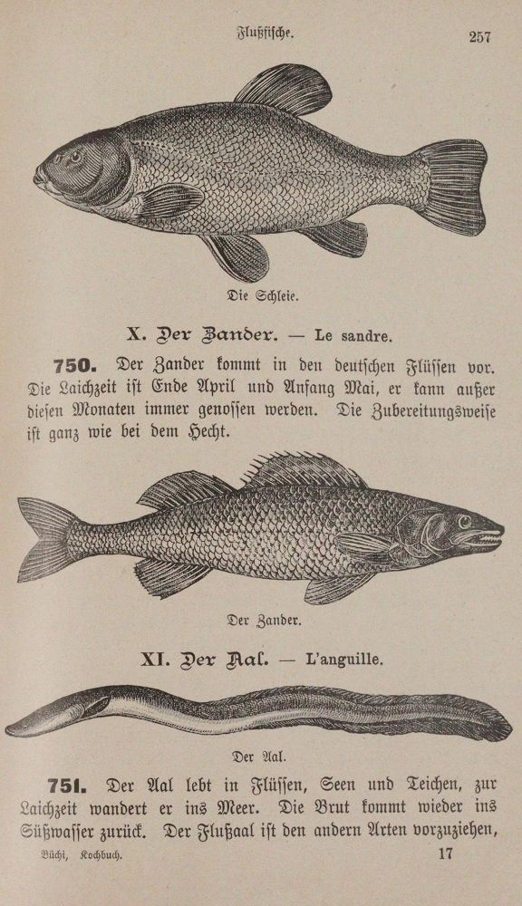 Große Abbildung Nr.2: 143-790 Büchi,L.: (Küche und Haushalt, Kochbücher, Heinrichsbad)