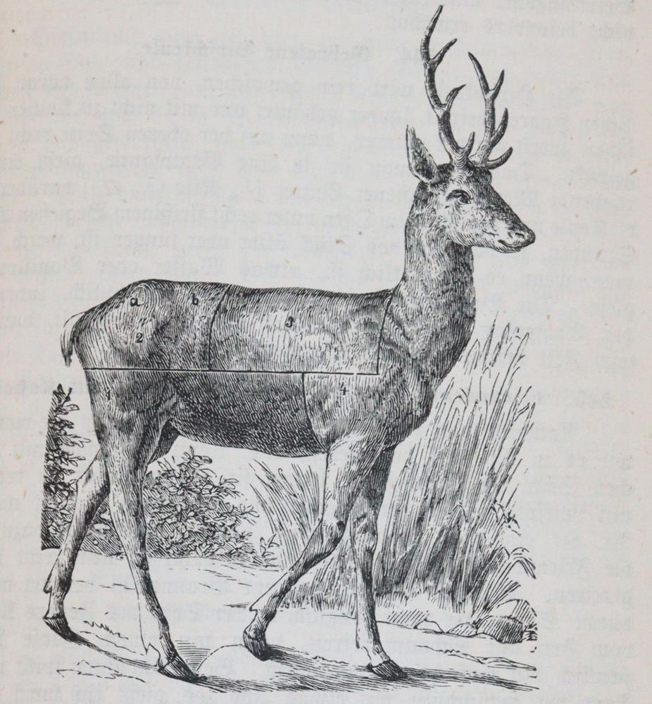Große Abbildung Nr.3: 143-821 Kurth,L.: (Küche und Haushalt, Kochbücher)