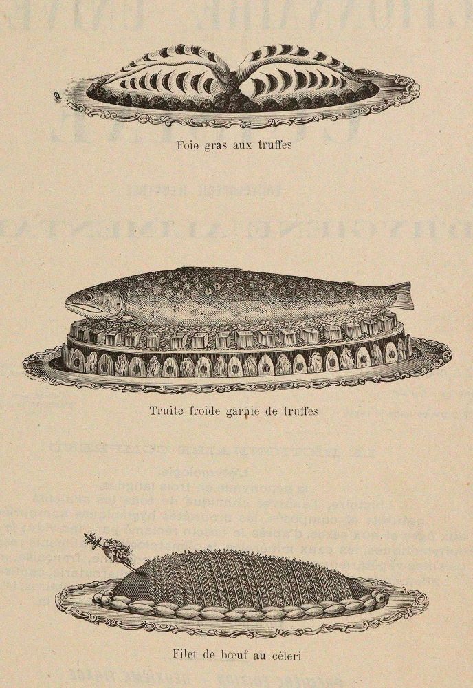 Große Abbildung Nr.2: 143-830 Favre,J.: (Küche und Haushalt, Kochbücher, Lexika)