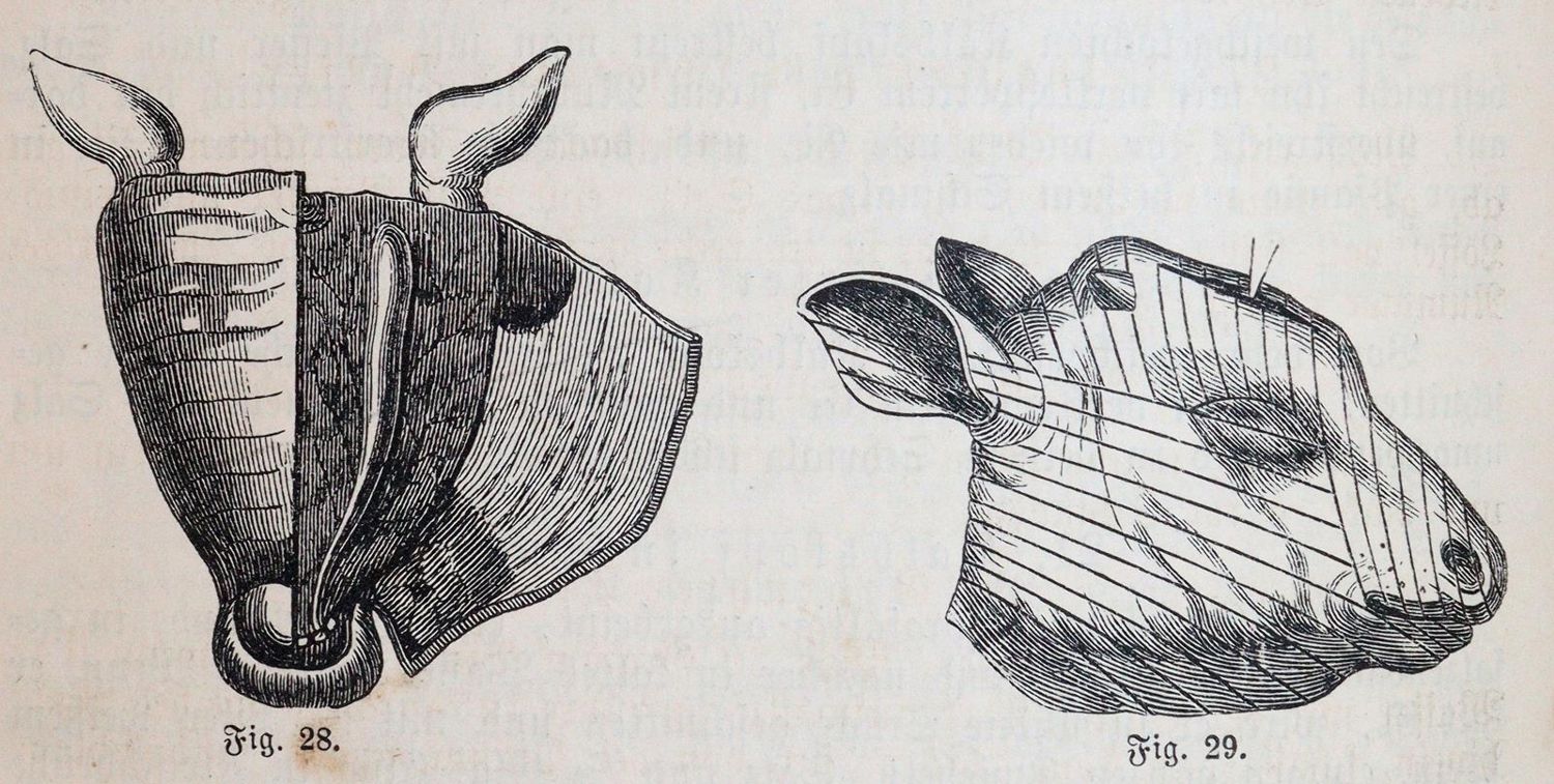 Große Abbildung Nr.2: 143-838 Meixner,M.E.: (Küche und Haushalt, Kochbücher)