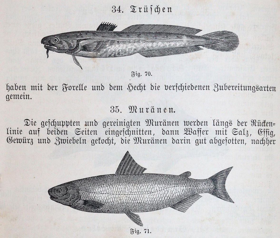 Große Abbildung Nr.4: 143-838 Meixner,M.E.: (Küche und Haushalt, Kochbücher)