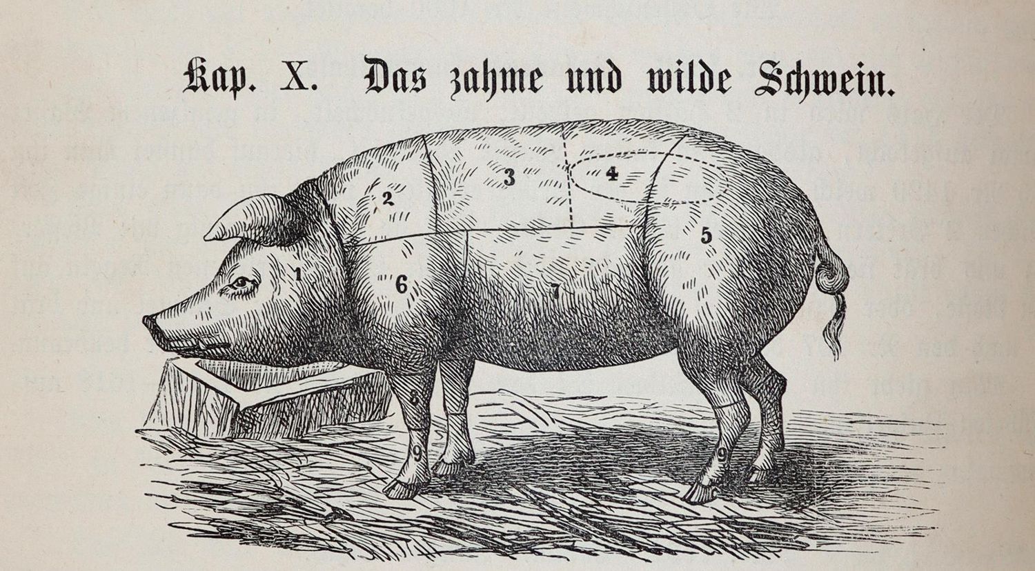 Große Abbildung Nr.4: 143-853 Naumann,L.: (Küche und Haushalt, Kochbücher)