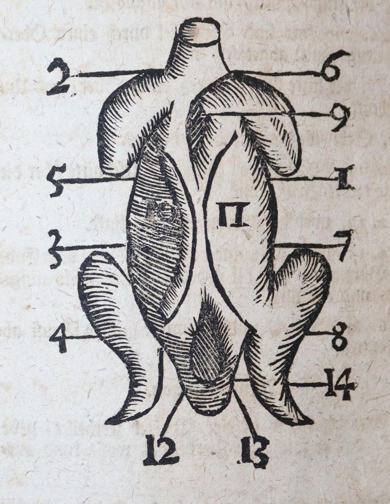 Große Abbildung Nr.3: 143-858 Neues wohl eingerichtetes Koch-Buch,: (Küche und Haushalt, Kochbücher)