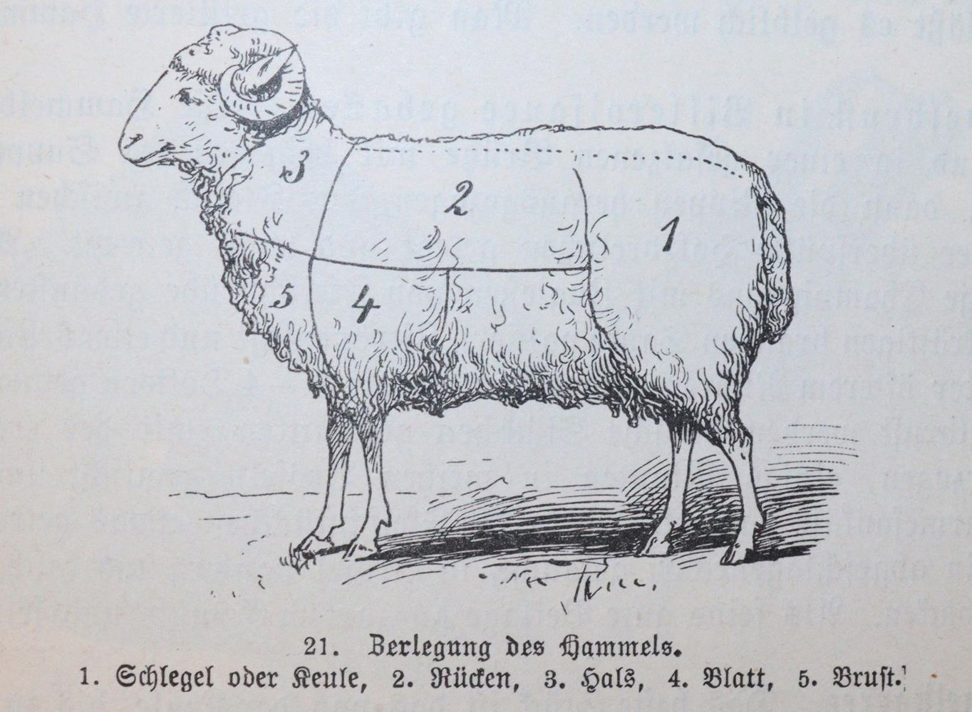 Große Abbildung Nr.3: 143-900 Sammlung: (Küche und Haushalt, Kochbücher)