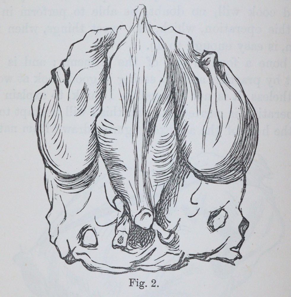 Große Abbildung Nr.2: 143-907 Sammlung: (Küche und Haushalt, Kochbücher)