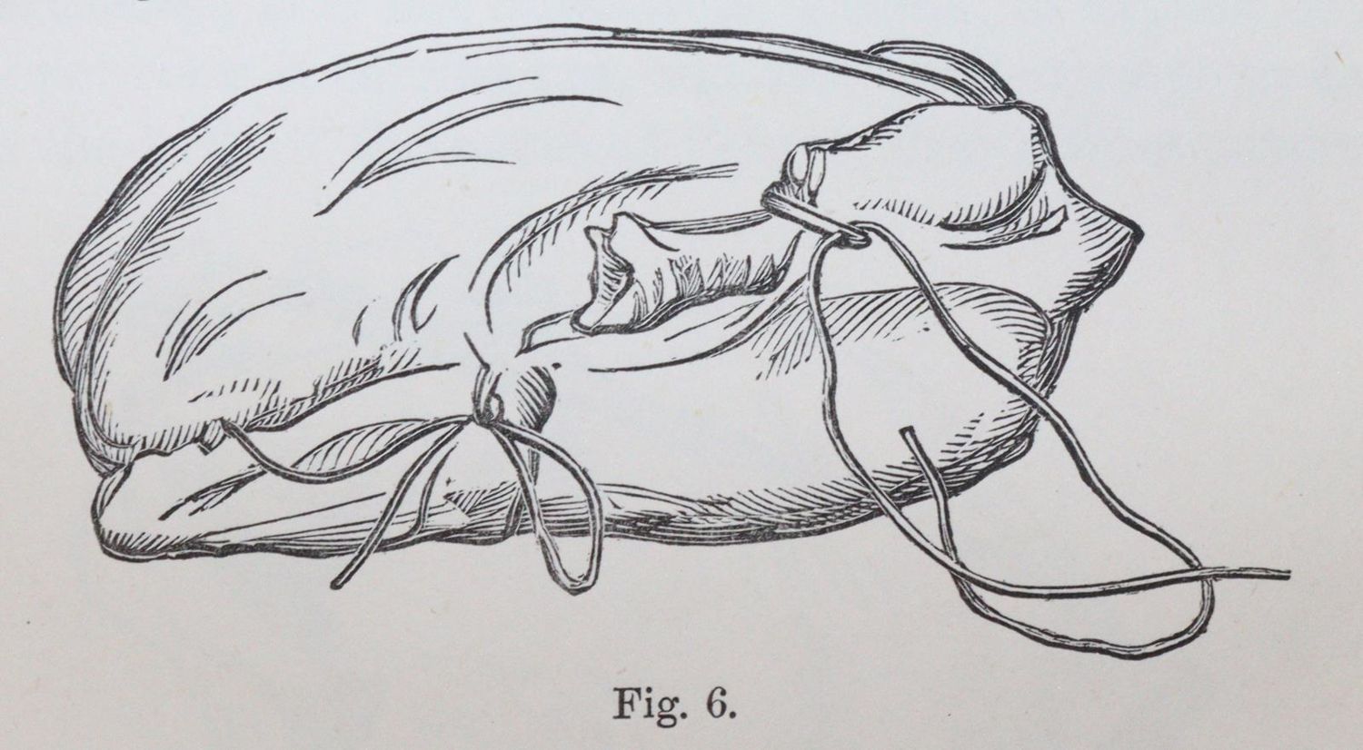Große Abbildung Nr.3: 143-907 Sammlung: (Küche und Haushalt, Kochbücher)