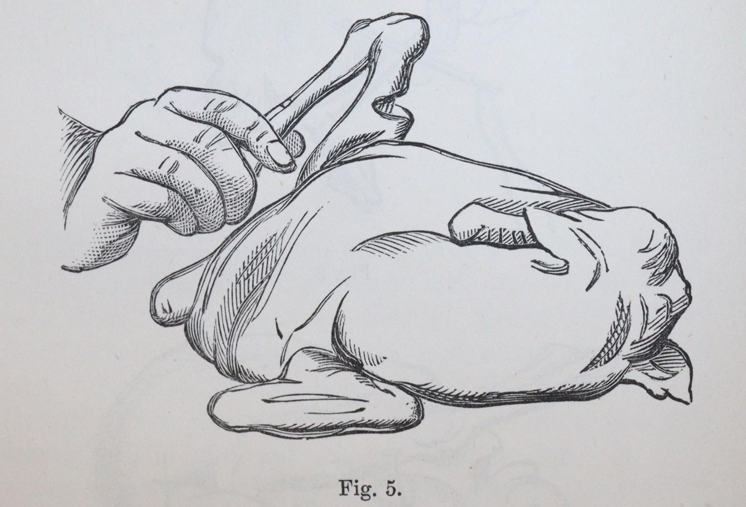 Große Abbildung Nr.4: 143-907 Sammlung: (Küche und Haushalt, Kochbücher)