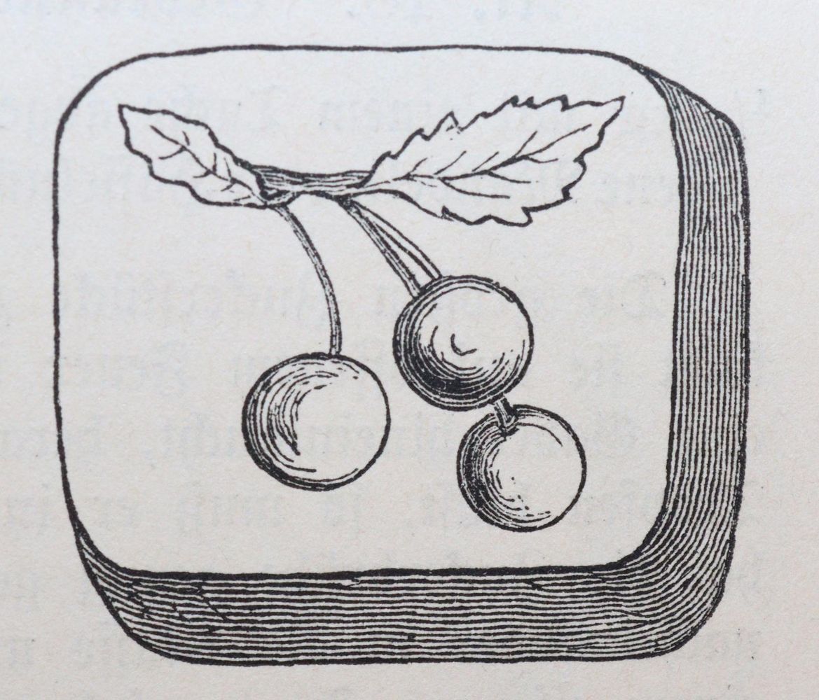 Große Abbildung Nr.3: 143-966 Wehrfritz,M. u. F.: (Küche und Haushalt, Kochbücher)