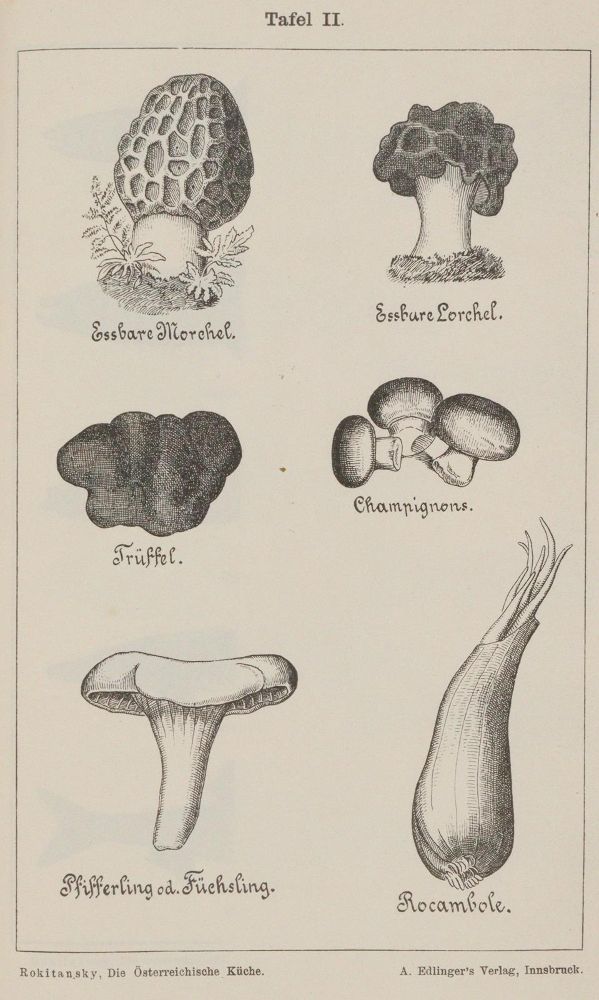 Große Abbildung Nr.5: 143-979 Wiener Küche.: (Küche und Haushalt, Kochbücher)
