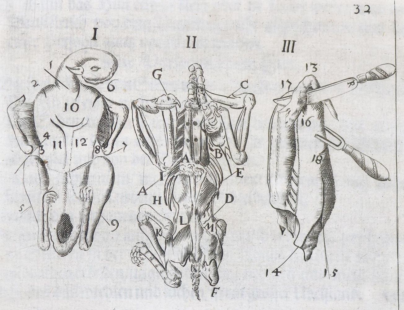 Große Abbildung Nr.4: 143-993 Klett,A.: (Küche und Haushalt, Trenchiren)