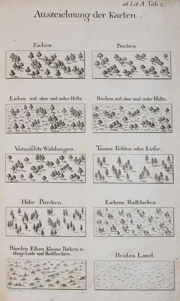 Große Abbildung Nr.3: 143-996 Trier.: (Land- und Forstwirtschaft, Forstwirtschaft)