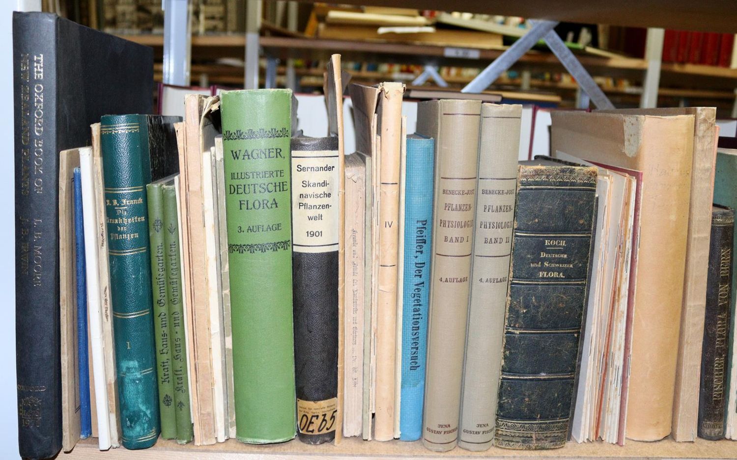 Große Abbildung Nr.5: 143-998 Sammlung: (Land- und Forstwirtschaft, Garten)