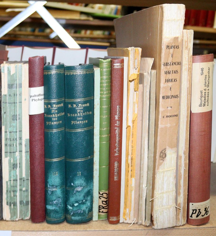 Große Abbildung Nr.6: 143-998 Sammlung: (Land- und Forstwirtschaft, Garten)