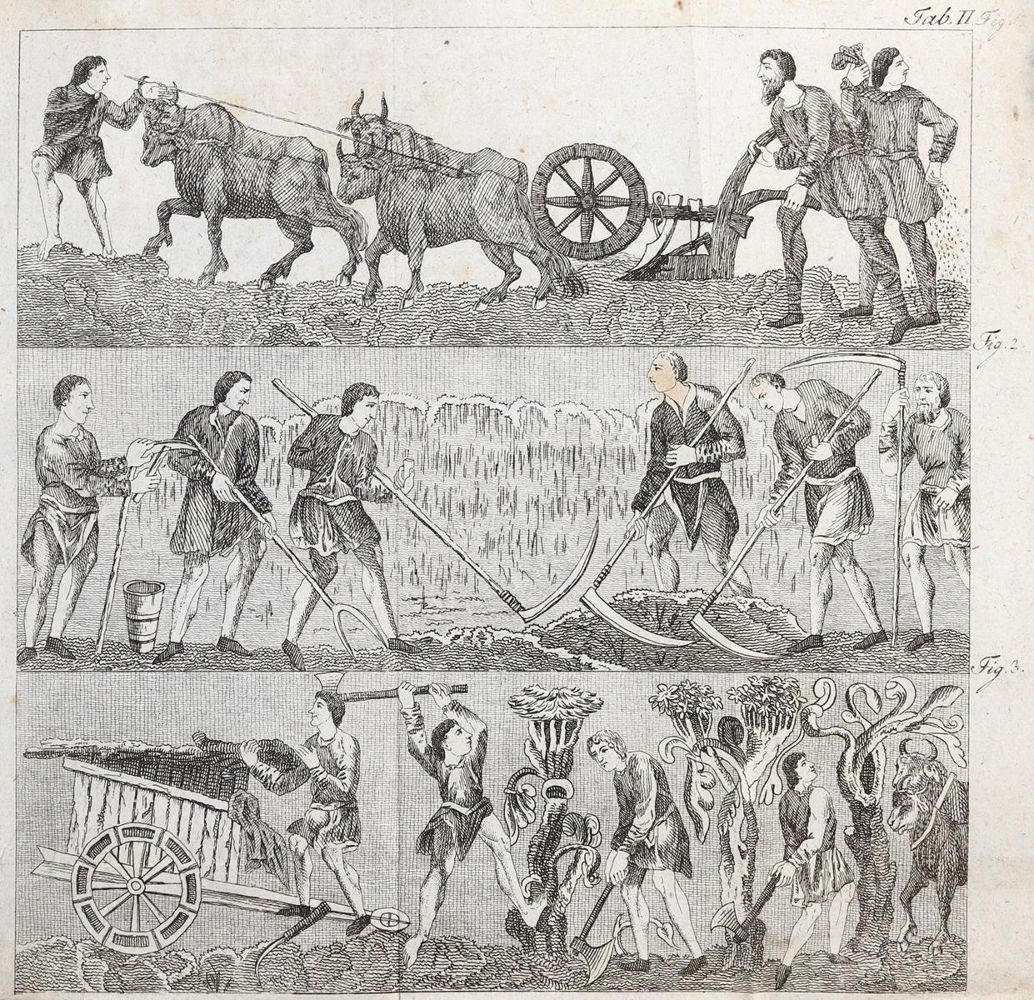 Große Abbildung Nr.2: 143-999 Anton,K.G.: (Land- und Forstwirtschaft, Landwirtschaft)