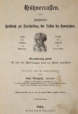 Bild Nr.1: 143-1017 Bungartz,J.: (Land- und Forstwirtschaft, Tierhaltung, Geflügel)