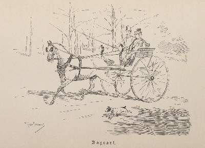 Bild Nr.5: 143-1020 Wrangel,C.G.: (Land- und Forstwirtschaft, Tierhaltung, Pferde)