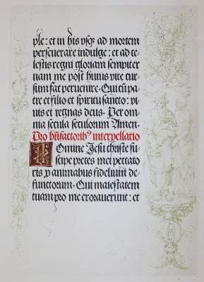 Bild Nr.2: 143-1023 Albrecht Dürers: (Kunstwissenschaft)