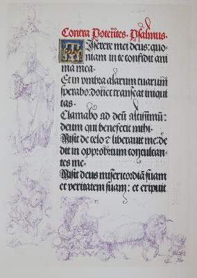 Bild Nr.4: 143-1023 Albrecht Dürers: (Kunstwissenschaft)