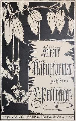 Bild Nr.3: 143-1091 Pronberger,L.: (Ornamente, Jugendstil)