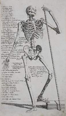 Bild Nr.8: 143-1097 Preißler,J.D.: (Kunstwissenschaft)