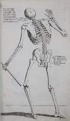 Bild Nr.9: 143-1097 Preißler,J.D.: (Kunstwissenschaft)