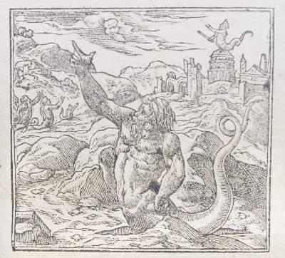 Bild Nr.2: 143-118 Alciati,A.: (Emblemata)