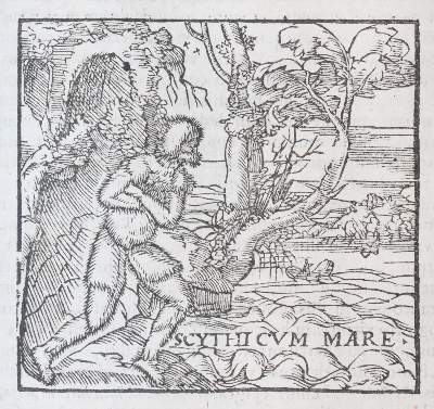 Bild Nr.5: 143-118 Alciati,A.: (Emblemata)