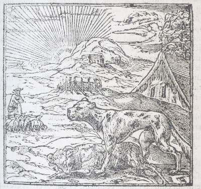 Bild Nr.6: 143-118 Alciati,A.: (Emblemata)
