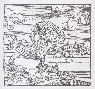 Bild Nr.7: 143-118 Alciati,A.: (Emblemata)