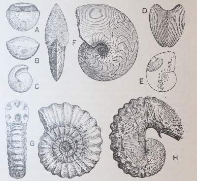 Bild Nr.3: 143-1185 Nouveau Larousse illustre.: (Lexika - Wörterbücher - Sprachwissenschaften)