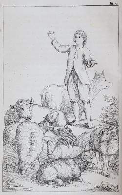 Bild Nr.5: 143-1274 Nieritz,G.: (Kinder- und Jugendbücher)