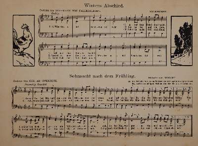 Bild Nr.3: 143-1284 Scholz,B.: (Kinder- und Jugendbücher)