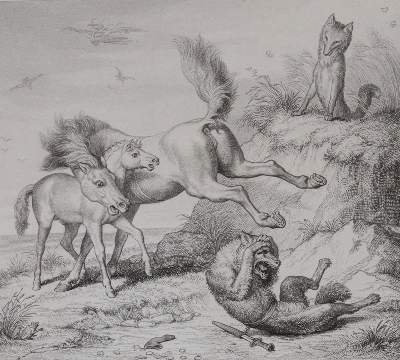 Bild Nr.5: 143-1380 Goethe,J.W.v.: (Literatur und illustrierte Bücher bis 19.Jahrhundert)