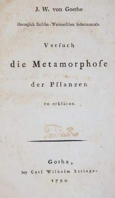 Bild Nr.1: 143-1382 Goethe,J.W.v.: (Literatur und illustrierte Bücher bis 19.Jahrhundert)