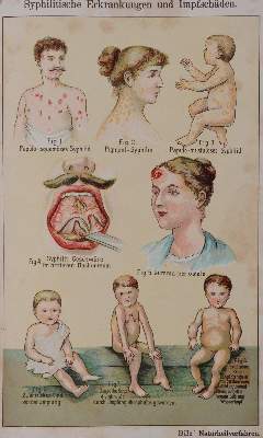 Bild Nr.2: 143-1460 Sammlung: (Literatur und illustrierte Bücher bis 19.Jahrhundert)
