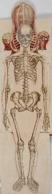 Bild Nr.5: 143-1460 Sammlung: (Literatur und illustrierte Bücher bis 19.Jahrhundert)