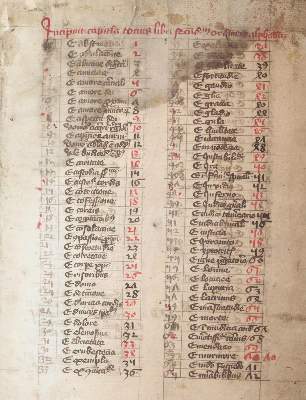 Bild Nr.6: 143-162 Ribelin von Straßburg, Hugo: (Handschriften)